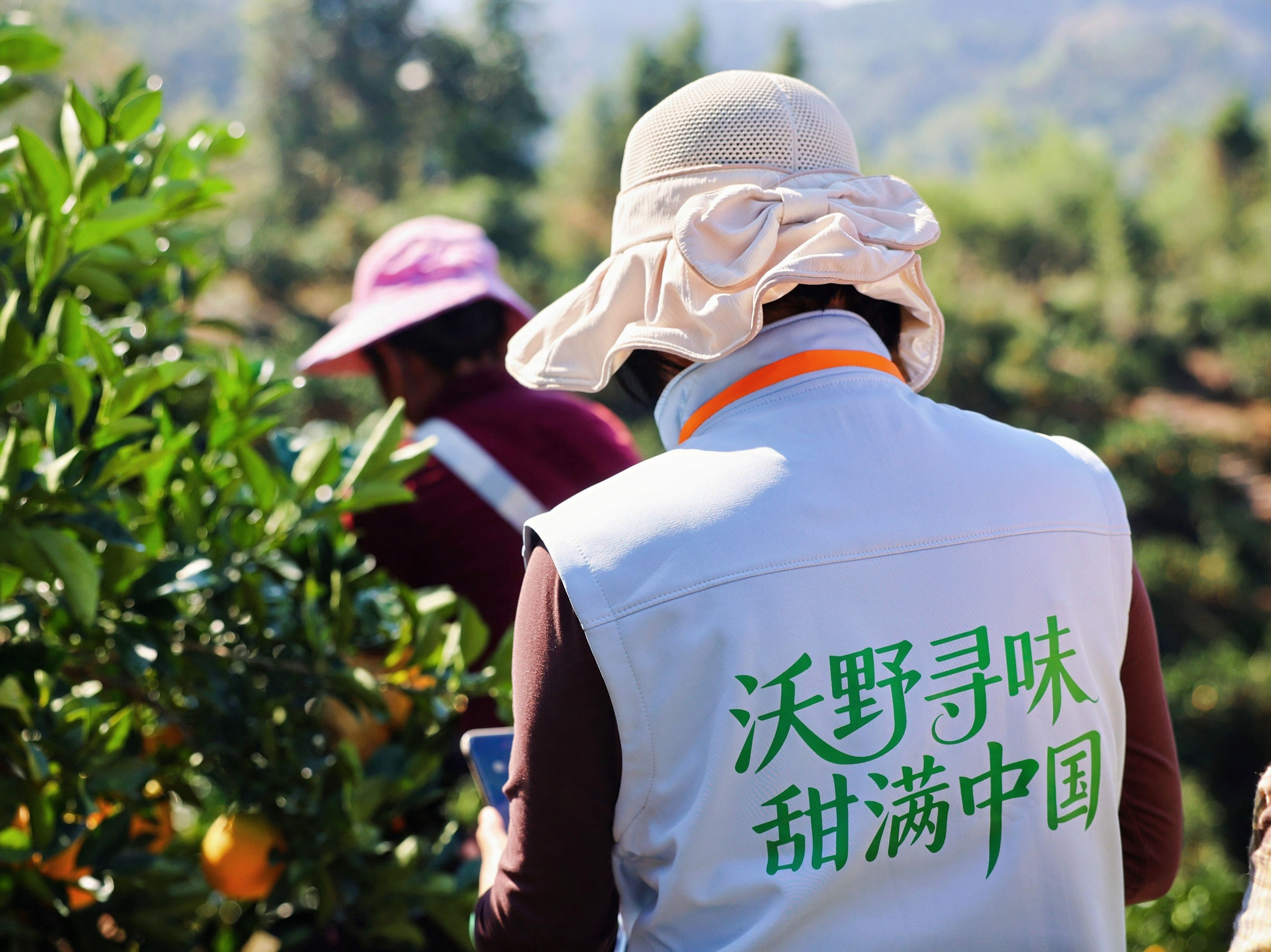 1763539096505.jpg IMG_7483.jpg