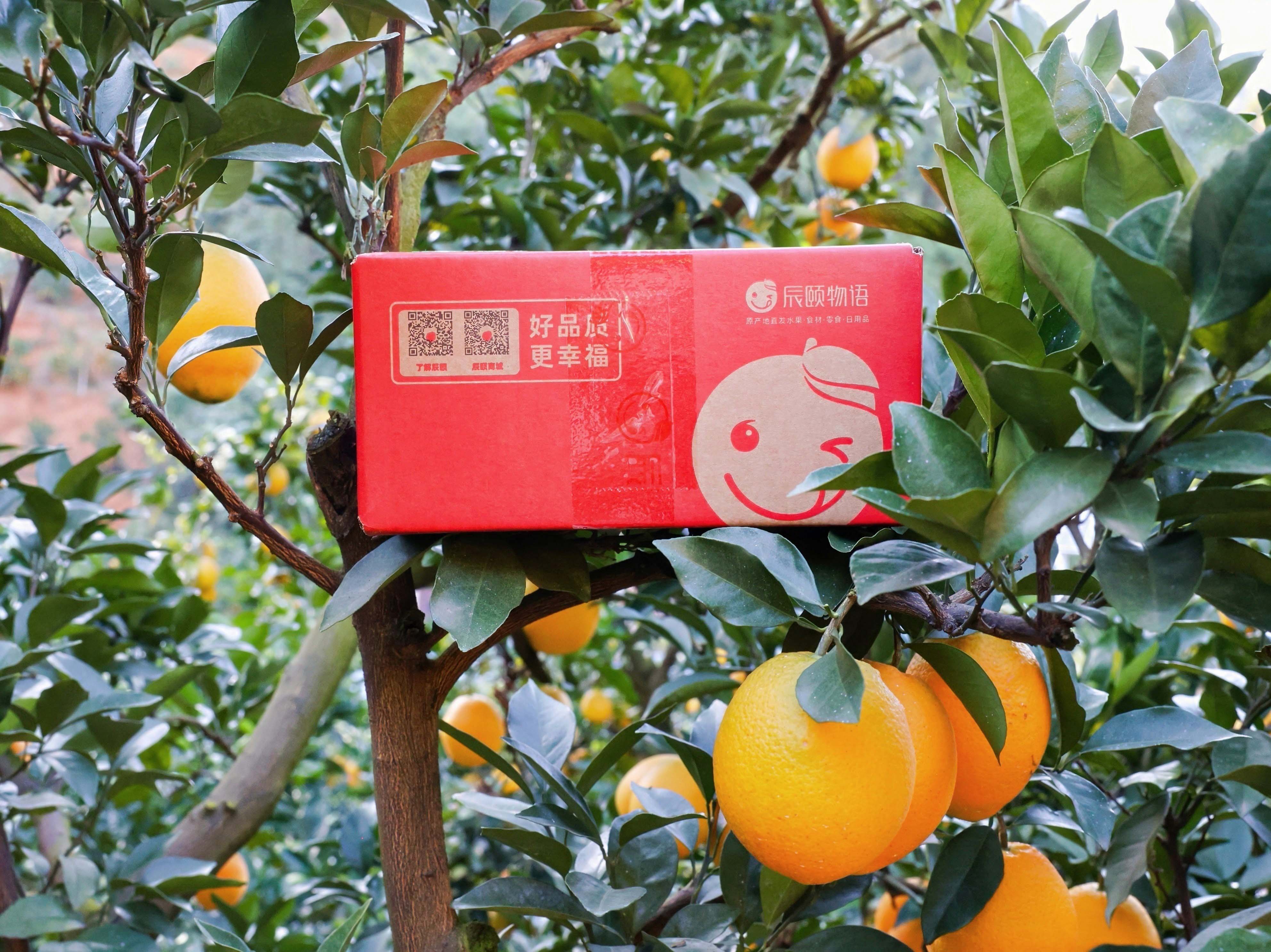 1763539133065.jpg IMG_7461.jpg